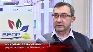 Как вырастить ягоды без химии рассказали на семинаре по органическому земледелию в Пинске
