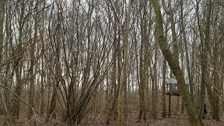 Tom Outdoor boomhut aflevering 4