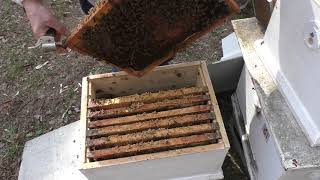 МАГАЗИН СТАВИТЬ ИЛИ КОРПУС  ПРИ ПОЛНОМ ГНЕЗДЕ.