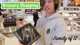 Grocery Shopping with 2 BABIES | Australian Family Vlog