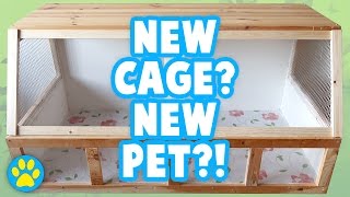 DIY Wood Hamster Cage | Building The Bunsen 1069sq inches [1/3]