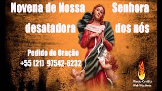 6ª Dia //Novena: Nossa Senhora Desatadora de Nós // Pedro Mesquita // Web Vida Nova