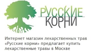 Расторопша пятнистая. Купить плоды расторопши в фито-аптеке "Русские корни"