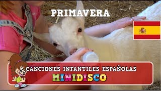 Canciones Infantiles | Video | En la Granja | Preescolar | PRIMAVERA | Mini Disco