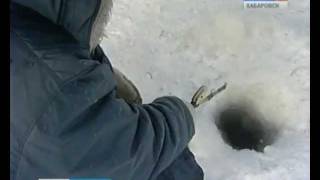 Вести-Хабаровск. Рыбалка с риском для жизни!
