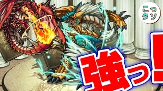 【モンスト】強っ！ｗ赤ずきんと龍馬で初見プレイ✩ジンオウガはやっぱ木属性か！！【こっさり＆シュンタソ】