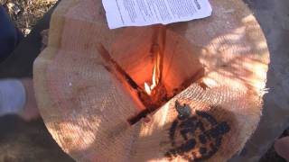 Stump Stove