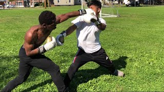 boxer vs street fighters (street boxing )