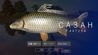 РУССКАЯ РЫБАЛКА 4 | RF4 - САЗАН, Р.АХТУБА