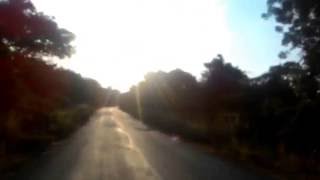 Most Haunted Forest Area Root In Telangana