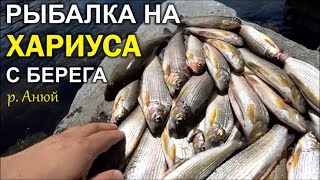 Июль, Анюй 2017. Горные реки Хабаровского края (HD)