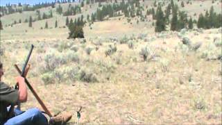 45-70 Govt Shiloh Sharps at 800 yards