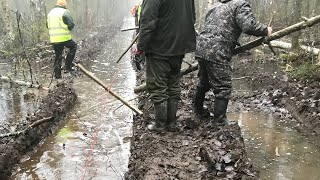Охота на лося.. ух сколько лосей