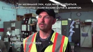 Bиброметр Fluke 805