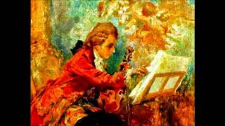 Flute Recording MOZART Horn Concerto No. 1 in D Major: First Movement