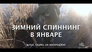 Зимний спиннинг. Ловля щуки и окуня в январе на микроджиг