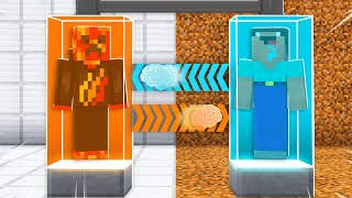 I Transformed into Noob1234! (Brain Swap Challenge)