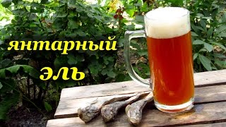 Рецепт домашнего пива - Янтарный Эль