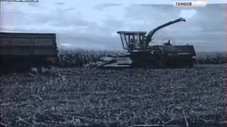 Комбайн убил голого и неизвестного в кукурузном поле
