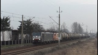 [MIX] Cztery niedzielne Siemensy na D29-273 | Zielona Góra, Nowa Sól