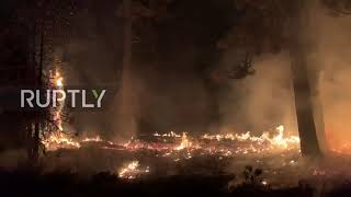 USA: Winds propel Dixie Fire towards Northern California towns