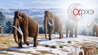 Ольга Смирнова: Антропобиотическая концепция в современной экологии