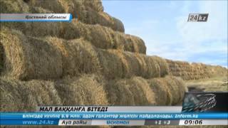 Мал баққанға бітеді