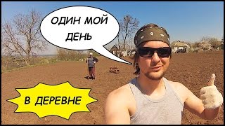 ОДИН МОЙ ДЕНЬ В ДЕРЕВНЕ! Село Витачев. ВЛОГ