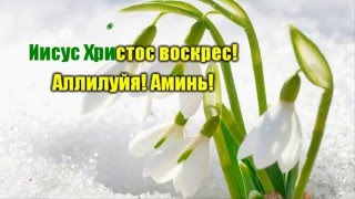 Иисус Христос воскрес!  (гр. Снежинка)