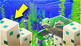 UOVA DI TARTARUGA e NUOVI PROGETTI! - Minecraft ITA #196