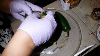 Chile destrulle  a tu enemigo (brujería mexicana poderosa )