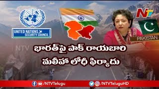 What is India's Strategy to Face Pakistan and China in UNSC ? | Story Board | NTV