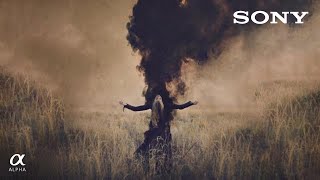 Brooke Shaden: Self Portraiture at Photo Plus Expo 2018