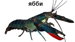 Русская Рыбалка 3 Большой Барьерный Риф!   Ябби!