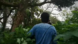 Expedition | Mathikettan Shola National Park | Idukki District