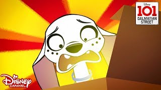 Ransom Pups | 101 Dalmatian Street | Disney Channel Africa