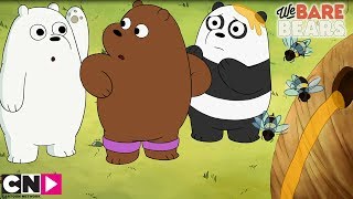Le miel et les abeilles | We Bare Bears | Cartoon Network