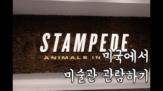[미국 Vlog] 덴버 미술관에 가면 특별한 것이 있다?