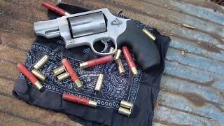 Smith and Wesson Governor