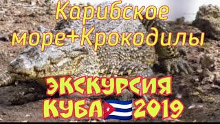 Карибское море+крокодиловая ферма.Экскурсия от Пегаса.Варадеро,Куба,Varadero,Cuba,2019
