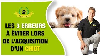 TUTO LES 3 ERREURS DE L'EDUCATION DU CHIOT #60/100