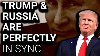 Trump Told Russia to Find Hillary's Emails, Russia Tried That Night