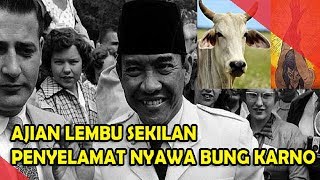 AJIAN LEMBU SEKILAN MENYELAMATKAN PRESIDEN SOEKARNO BERKALI-KALI