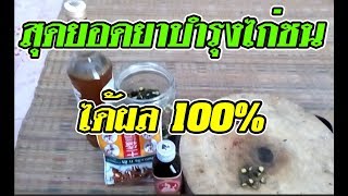 ยาบำรุงร่างกายไก่