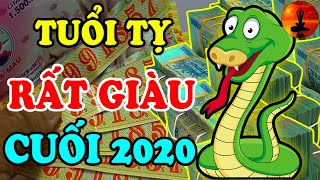 Bí Mật Động Trời Tuổi TỴ 4 Tháng Cuối Năm 2020 MAY MẮN ĐỦ ĐƯỜNG, Tiền Nhiều Ngập Két