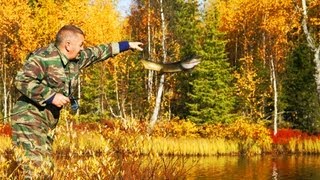 Болотный ручей