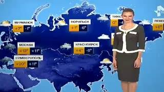Погода сегодня, завтра, видео прогноз погоды на 3 дня 5.10.2016