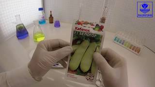 Кабачок цуккини Белогор. Поиск