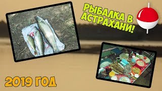 СТЁПИК В АСТРАХАНИ! РЫБАЛКА ЛЕТОМ 2019 ГОДА.