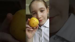 Шок!!!! Что произошло с яблоком!? Эксперимент с яблоком/проверка на воск!!!